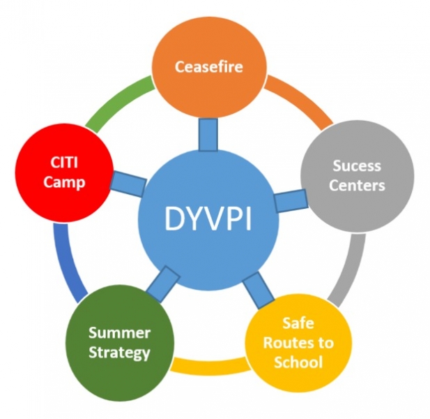 Graphic depiction of current DYVPI programs described in list above