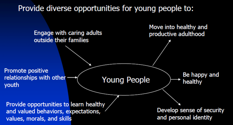 This graphic describes positive diverse options for young people to engage with caring adults, promote positive relationships, provide opportunities, move into healthy adulthood, be happy and healthy, and develop sense of security.