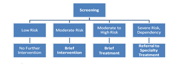 An organizational tree outlining levels of risk and suggested follow-up based on the results of the SBIRT a screening measure. The categories from left to right are low risk resulting in no further interventions, moderate risk resulting in brief intervention, moderate to high risk resulting in brief treatment, and severe risk/dependency resulting in referral to specialty treatment.